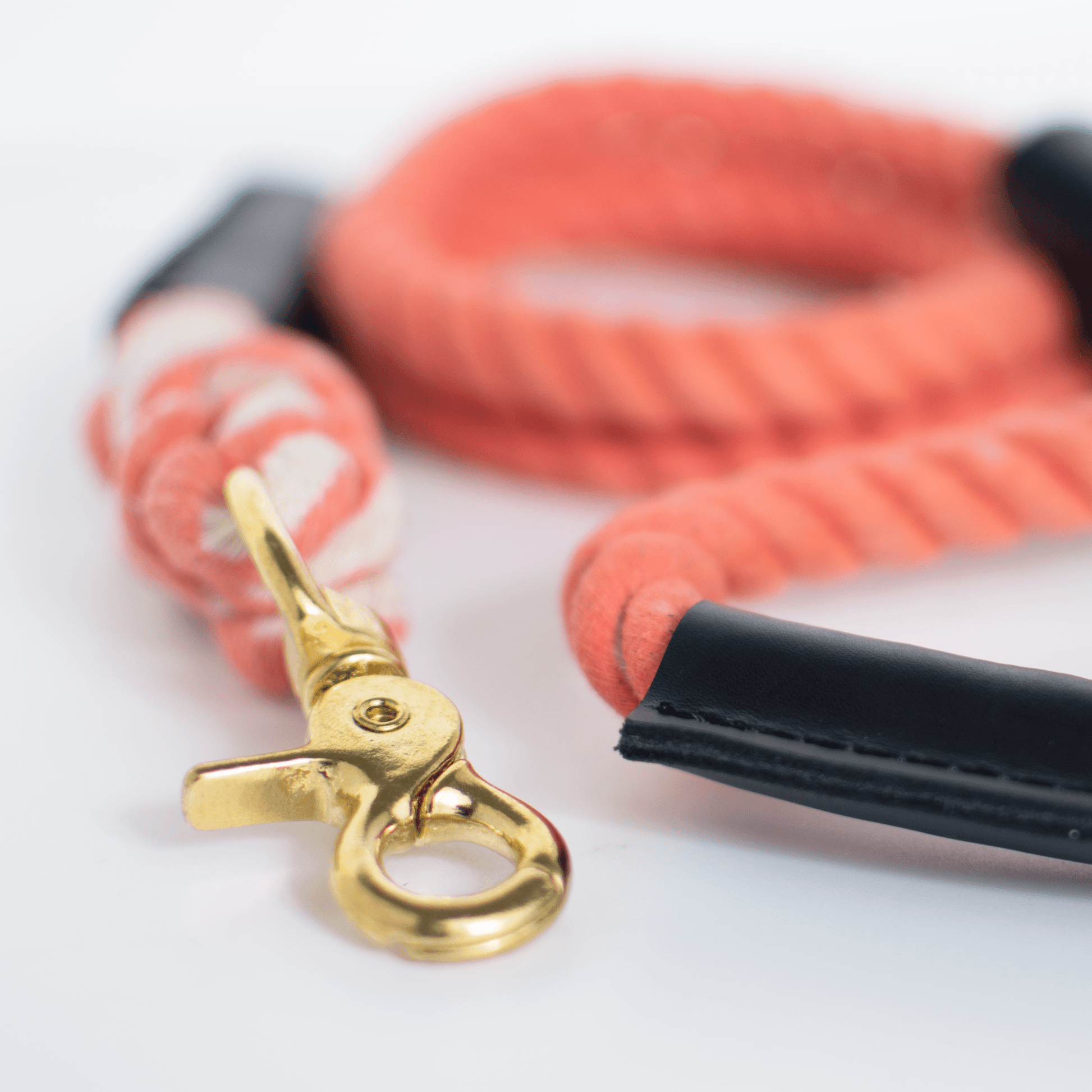 Rope And Leather Lead Coral - Rope Dog Leash - Urbanpaws