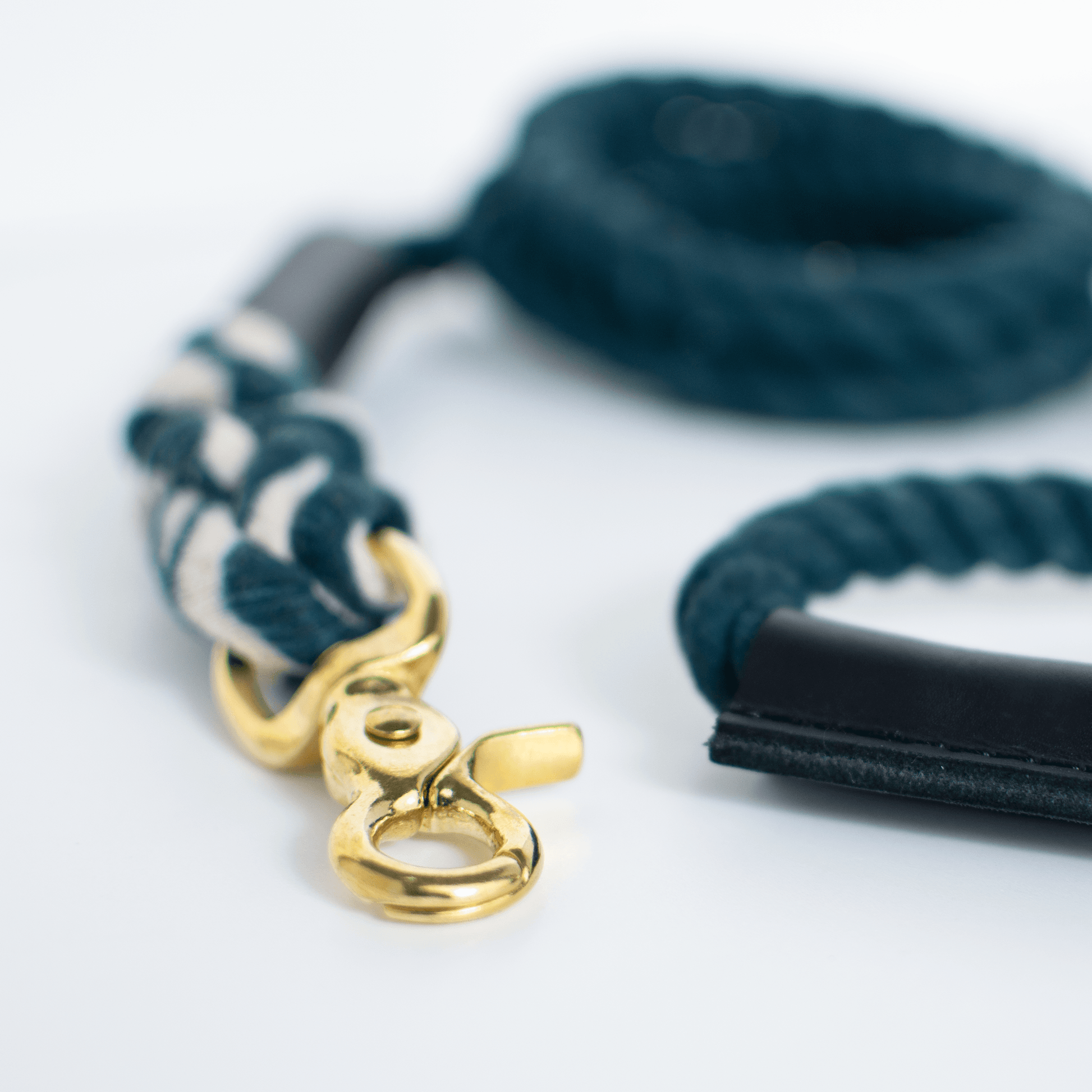 Rope And Leather Lead Teal - Leather Dog Leash - Urbanpaws