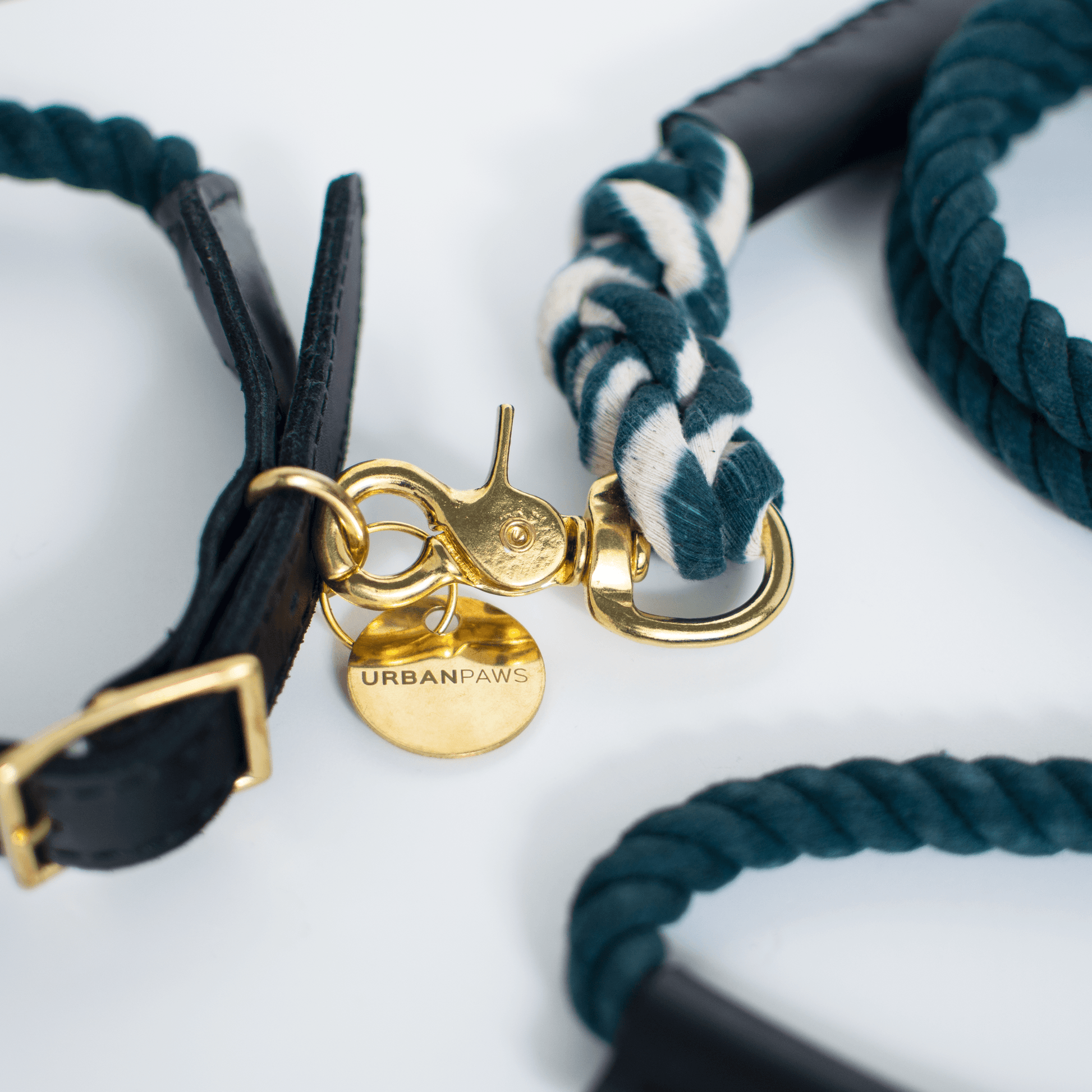Rope And Leather Lead Teal - Leather Dog Leash - Urbanpaws