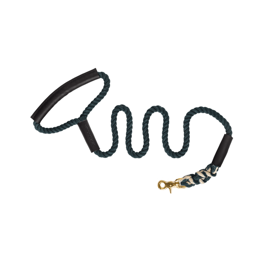 Rope And Leather Lead Teal - Leather Dog Leash - Urbanpaws