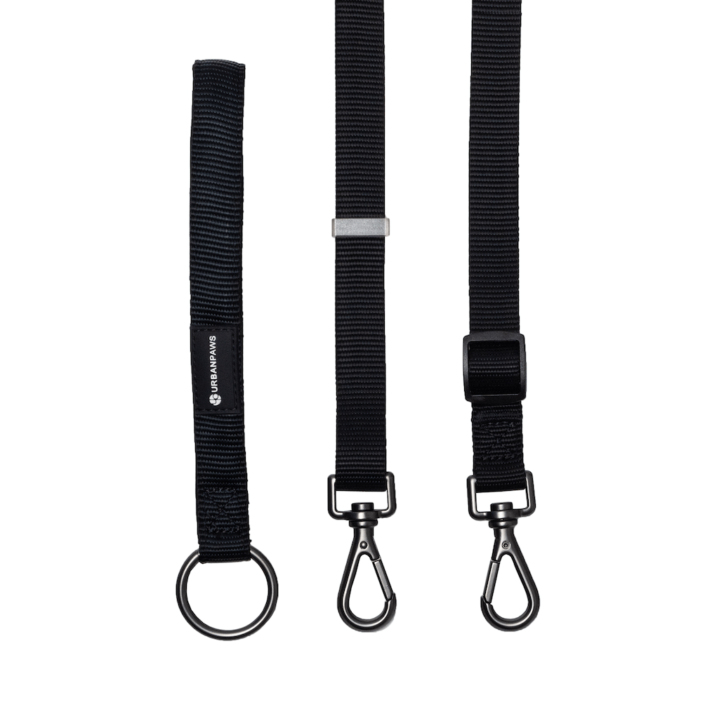 Tandem Walking Lead - Urbanpaws