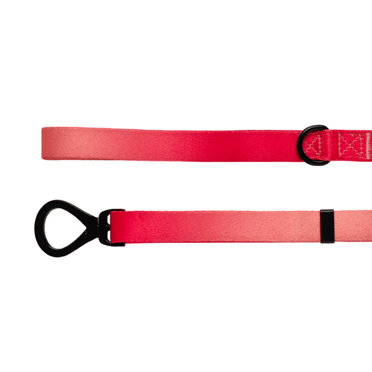 Lexi Lead - Dog Leash - Urbanpaws